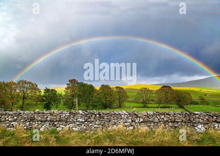 Rainbow over the Yorkshire Dales national park countryside Ribblesdale England UK with farmland and drystone walls Stock Photo