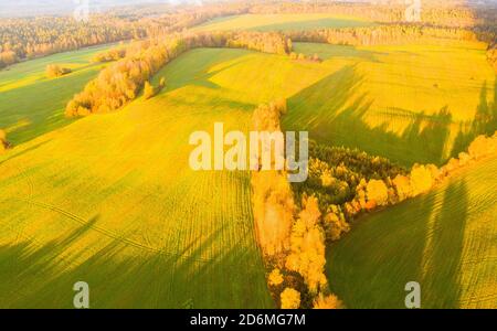 Aerial view of agricultural green field. Plowed agricultural field. Aerial view autumn field. Agricultural land. Rural andscape top view. Stock Photo