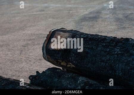 real burned wood log - charcoal production Stock Photo