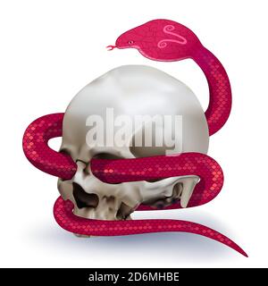 Human skull entwined by red snake on white background. Vector illustration Stock Vector