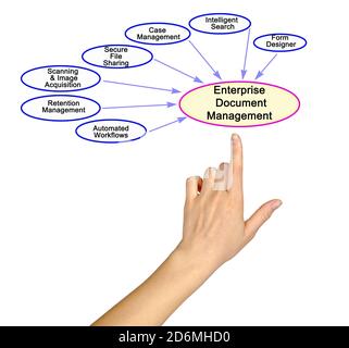 Components of Enterprise Document Management Stock Photo