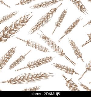 Wheat cereal spikelets, vector seamless pattern. Sketch hand drawn illustration. Bakery and flour package background. Stock Vector