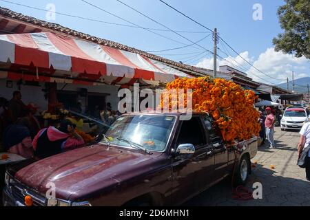 Truckloads of marigolds (Mexico's  'flower of the dead') are grown and used in its Day of the Dead holiday to decorate graves of loved ones. Stock Photo