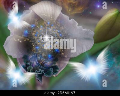 The flower of God Stock Photo