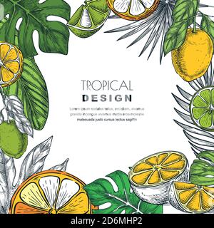 Tropical square frame with green palm leaves, lemon, lime, orange. Vector hand drawn sketch illustration of jungle exotic plants and citrus fruits. Po Stock Vector