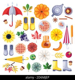 Fall season vector icons and design elements, isolated on white background. Autumn harvest, food, accessories and leaves flat illustration. Stock Vector