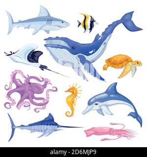 Sea and ocean animals set. Vector cartoon marine fish illustration. Cute colorful underwater characters isolated on white background. Stock Vector