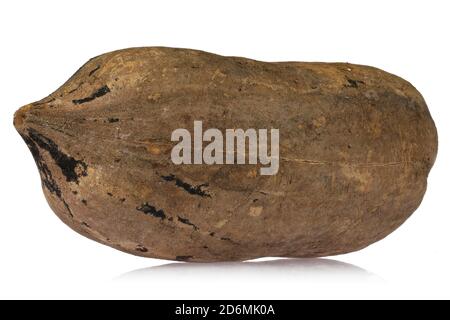 pecan nut isolated on white background Stock Photo
