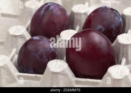 four purple plums Stock Photo