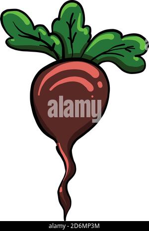Beet with leaves, illustration, vector on white background Stock Vector
