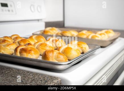 Just baked yeast bread buns in knot shape, just out of the oven. Many small braided knot rolls with egg wash on baking sheet. Traditional Swiss butter Stock Photo