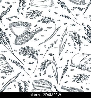 Rice cereal ears, vector seamless pattern. Sketch hand drawn illustration. Asian food package background. Stock Vector