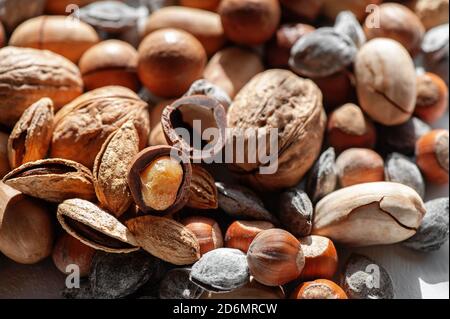 assorted nuts. Different types of macadamia nuts, walnuts and hazelnuts lie in an even layer. Background of nuts Stock Photo