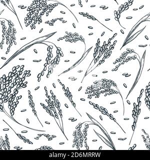 Rice cereal ears, vector seamless pattern. Sketch hand drawn illustration. Asian food package background. Stock Vector