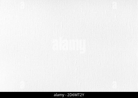 Canvas Texture Coated By White Primer Seamless Square Texture