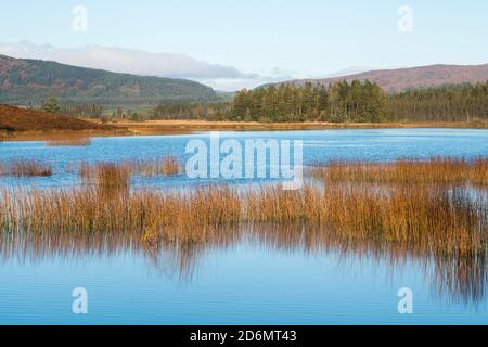 Stroan Loch in autumn, Galloway Forest, Dumfries & Galloway, Scotland