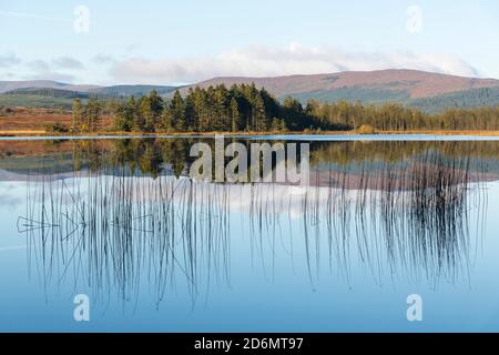 Reflections in Stroan Loch in autumn, Galloway Forest, Dumfries & Galloway, Scotland