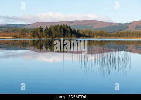 Reflections in Stroan Loch in autumn, Galloway Forest, Dumfries & Galloway, Scotland