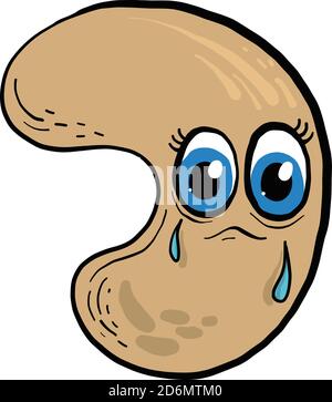 Crying cashew, illustration, vector on white background Stock Vector
