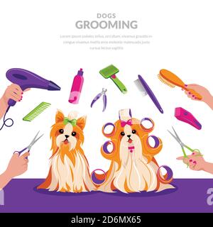 Dog grooming vector cartoon illustration. Pets care concept. Cute shih tzu and yorkshire terrier dogs in groomer salon. Stock Vector