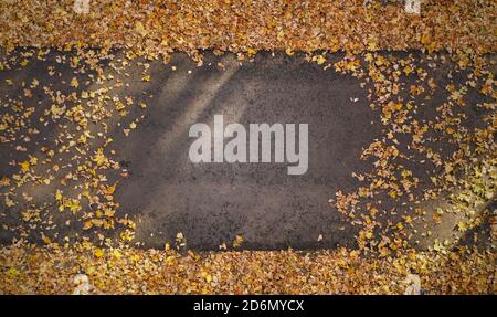 Top view of footpath with autumn leaves and text space Stock Photo