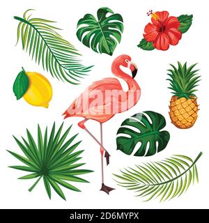 Summer tropical design elements set, isolated on white background. Vector cartoon illustration of flamingo, palm leaves, pineapple, lemon and exotic f Stock Vector