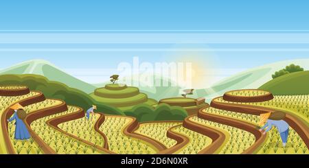 Rice terrace fields, vector cartoon landscape illustration. Asian harvesting agriculture horizontal background. China rural nature view. People harves Stock Vector