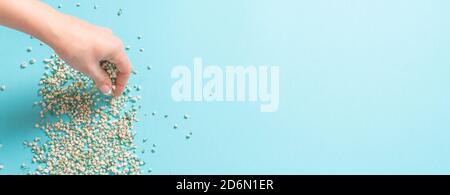 Woman Decorating backround with gypsophila flowers with copy space on light green background, flat lay Stock Photo
