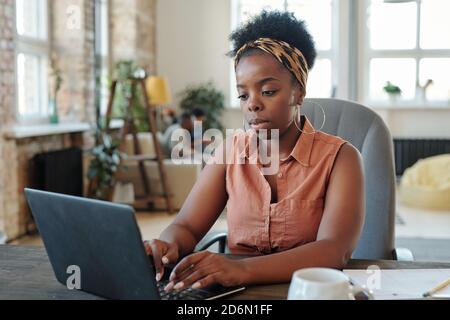 Serious young African female freelancer in casualwear working in front of laptop Stock Photo