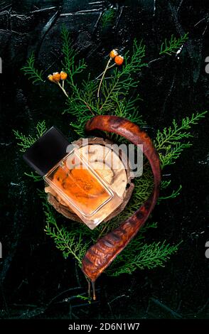 Composition for the layout of advertising of perfume from natural wood, pine needles and foliage on bla Stock Photo