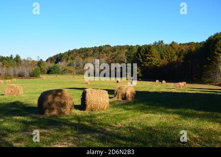 Rolled hay bales wait to be collected from a field along the Blue Ridge Parkway. Stock Photo