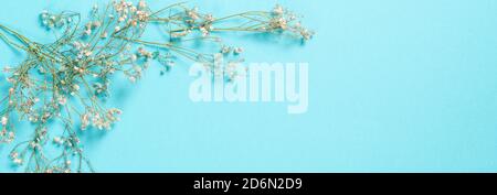 Flowers composition. Gypsophila flowers on pastel blue background. Flat lay, top view, copy space Stock Photo