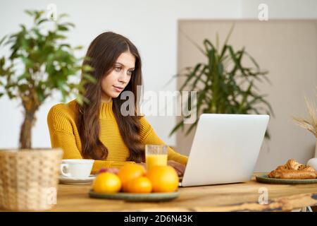 Nice beautiful female with blonde long hair working on laptop sitting at home Stock Photo
