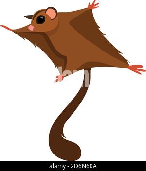 Flying squirrel, illustration, vector on white background Stock Vector
