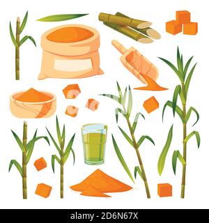 Sugar cane plant and green leaves vector flat cartoon illustration. Brown sugar in sack, bowl and spoon. Natural organic sweetener. Hand drawn isolate Stock Vector