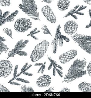 Pine branches and cones black white seamless pattern. Hand drawn spruce coniferous forest elements on white background. Vector sketch illustration. Wi Stock Vector