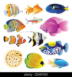 Sea fishes vector flat cartoon illustration. Tropical ocean reef or home aquarium exotic fishes set, isolated on white background. Marine life design Stock Vector