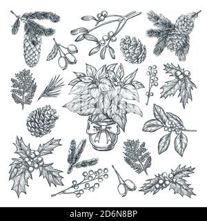 New Year or Christmas gift and greeting card decoration. Winter holiday plans and flowers. Design and decor elements set, isolated on white background Stock Vector