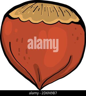 Beautiful hazelnut, illustration, vector on white background Stock Vector