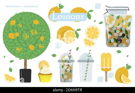 A set of flat images with lemons and lemonade. Vector illustration of a glass of lemonade with ice and mint to take away, lemons cut and whole, lemon tree, cake and ice cream. A set of all types and products from lemon. Summer set with lemonade and it s ingredients. Lemon, mint, jug, ice, glass Stock Vector