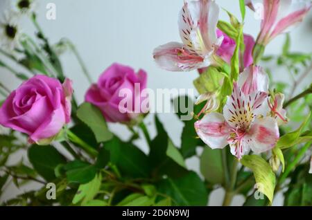 beautiful bouquet of mixed flowers in a vase on white table. the work of the florist at a flower shop. a bright mix of alstroemeria, chrysanthemums Stock Photo