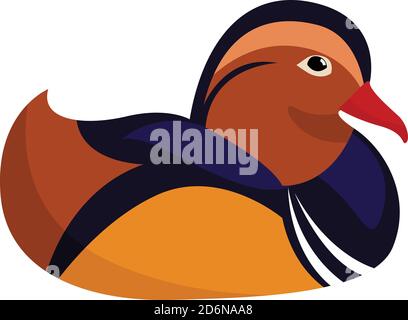 Mandarin duck, illustration, vector on white background Stock Vector