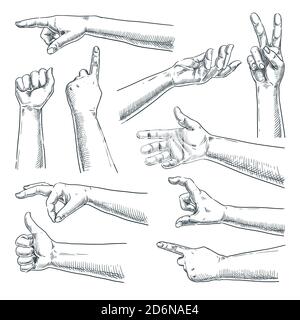 Human hand and fingers gesture. Vector sketch hand drawn illustration. Male or female hands collection, isolated on white background Stock Vector