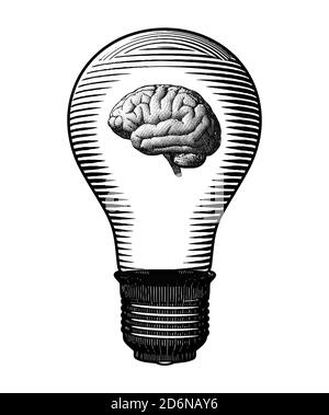 Brain inside the light bulb black and white engraving drawing style isolated on white background Stock Photo