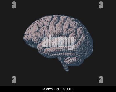 Side view brain engraving drawing in monochrome on black background ...