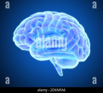 3D blue light glowing xray brain illustration isolated on dark ...