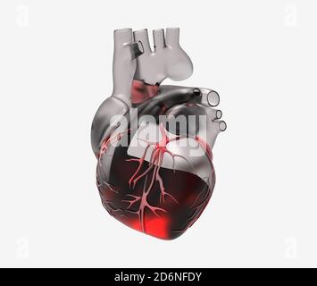 3D glass human heart with vein and blood flow rendering illustration isolated on white background with clipping path for die cut to use in any backdro Stock Photo