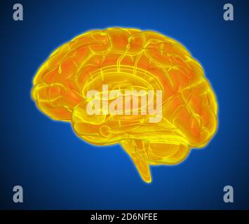 3D blue light glowing xray brain illustration isolated on dark ...