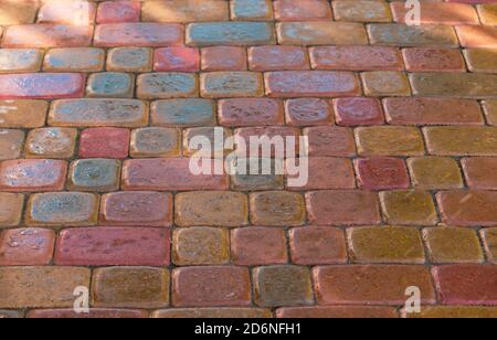 pink paving slab after rain for background Stock Photo