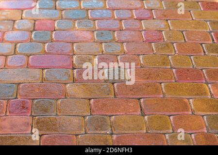pink paving slab after rain for background Stock Photo